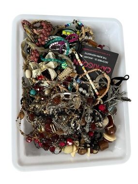 Assorted bundle lot Mixed Women’s Jewelry Lot Multicolor necklace reseller craft